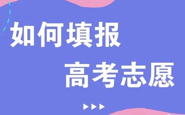 2021年新高考志愿填报技巧,新高考该如何填报志愿