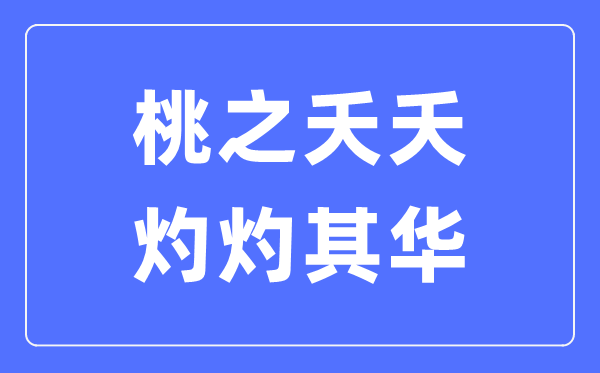 桃之夭夭，灼灼其华是什么意思,桃之夭夭灼灼其华的含义